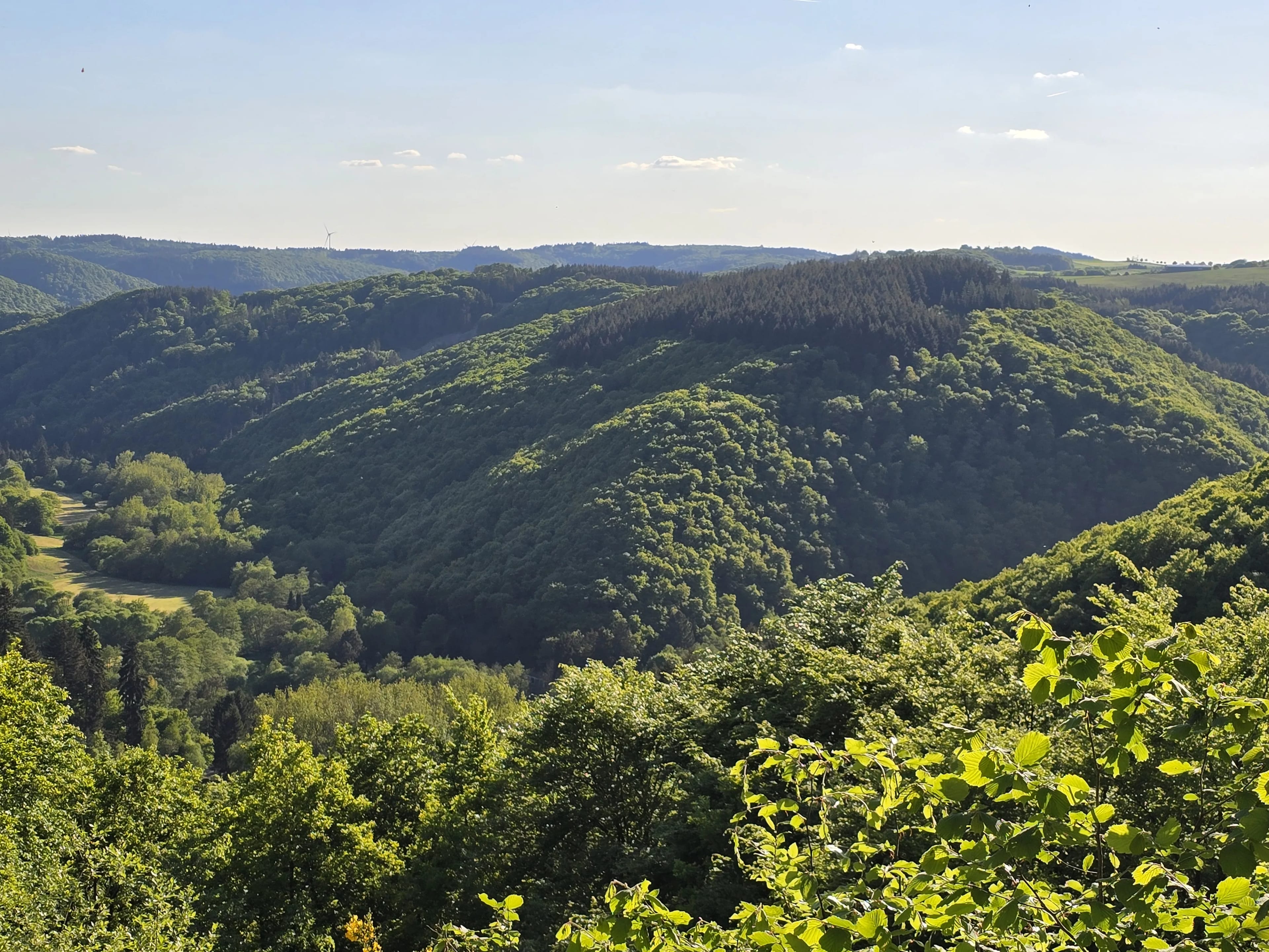 Adventure Alftal — Bushcraft-Lager in der Vulkaneifel